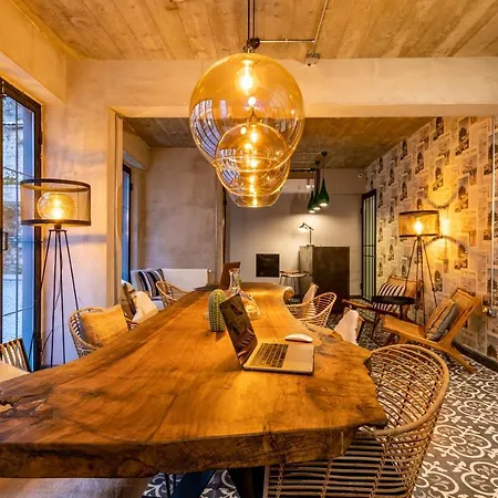 Parrot 伊斯坦布尔