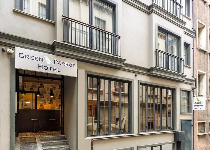 Parrot Стамбул