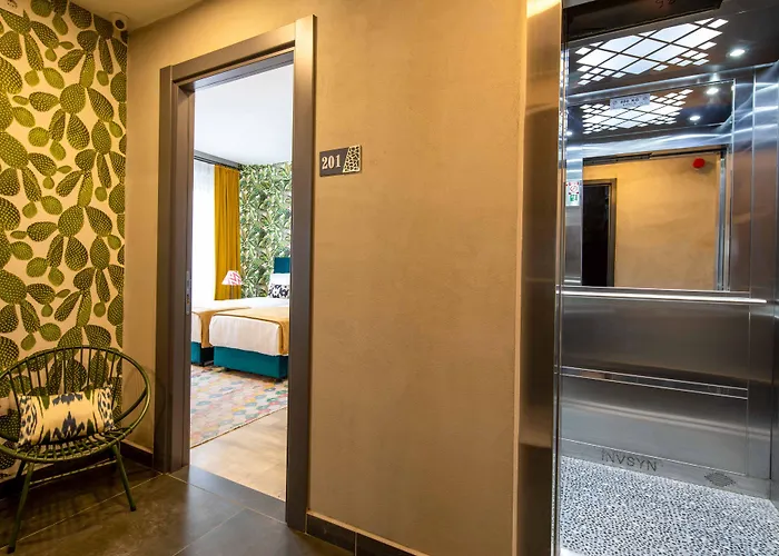 Parrot 3* Стамбул